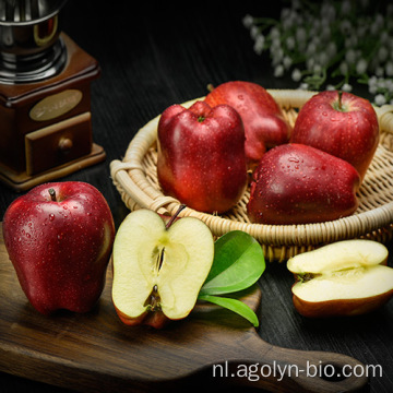 Grade 1 Huaniu Apple Prijs te koop